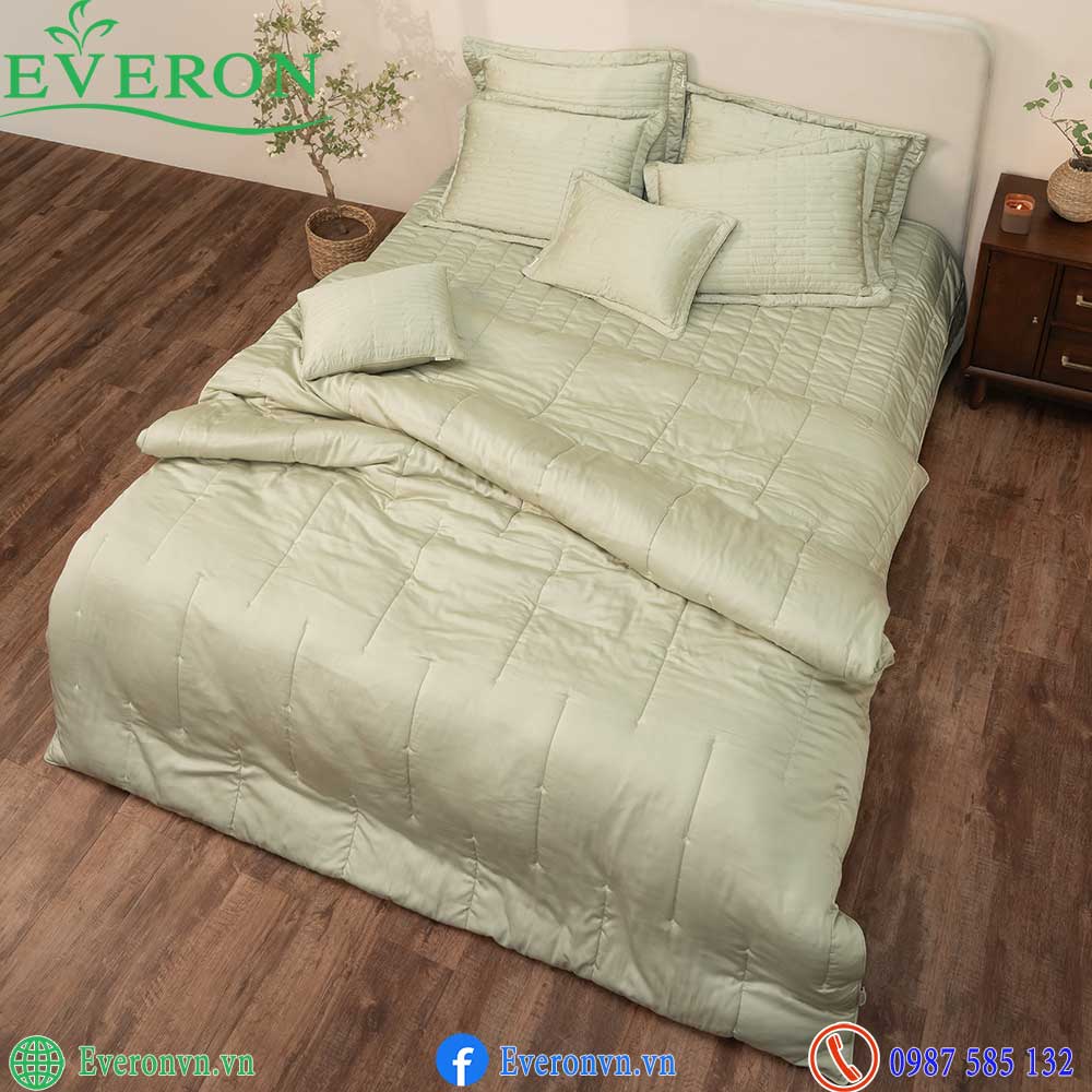 Everon ESB 27014 Meteor-1
