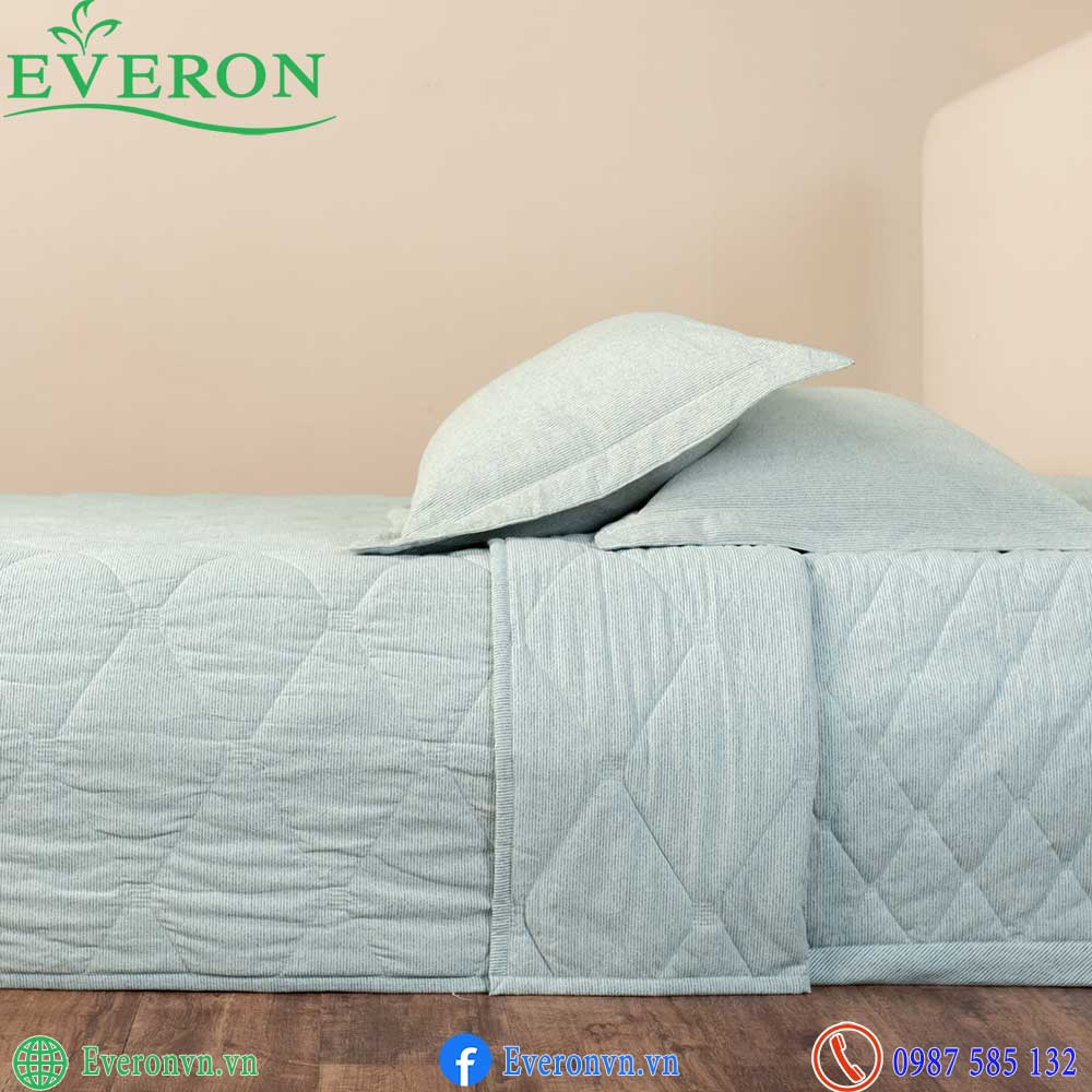 Everon EPC 27036 Coastal-2