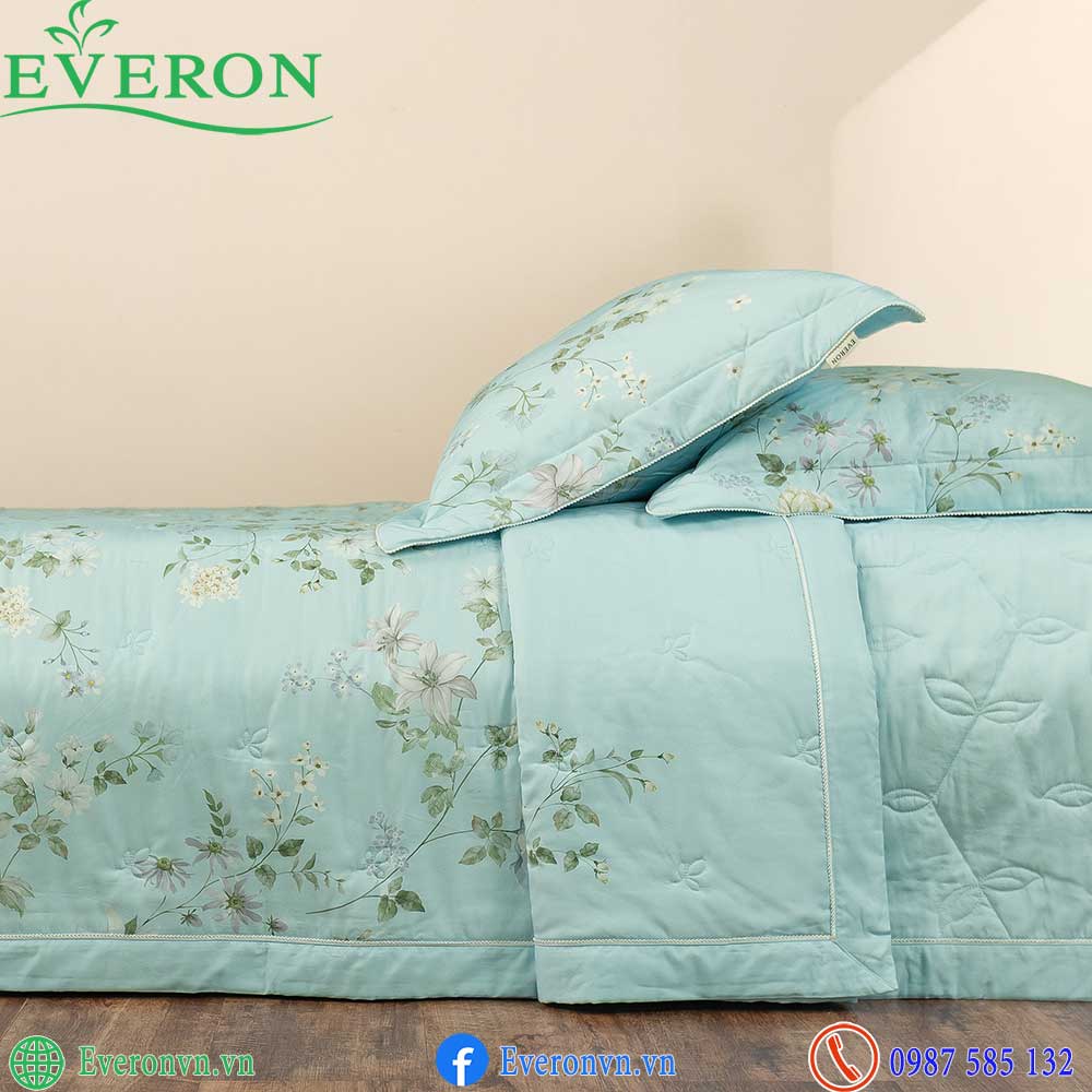 Everon EPMOC 27024 Dawn-2