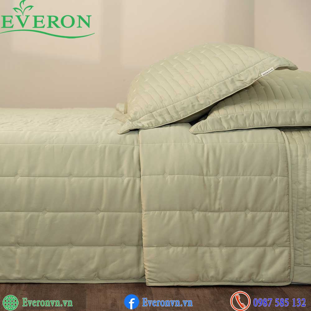 Everon ESB 27014 Meteor-2
