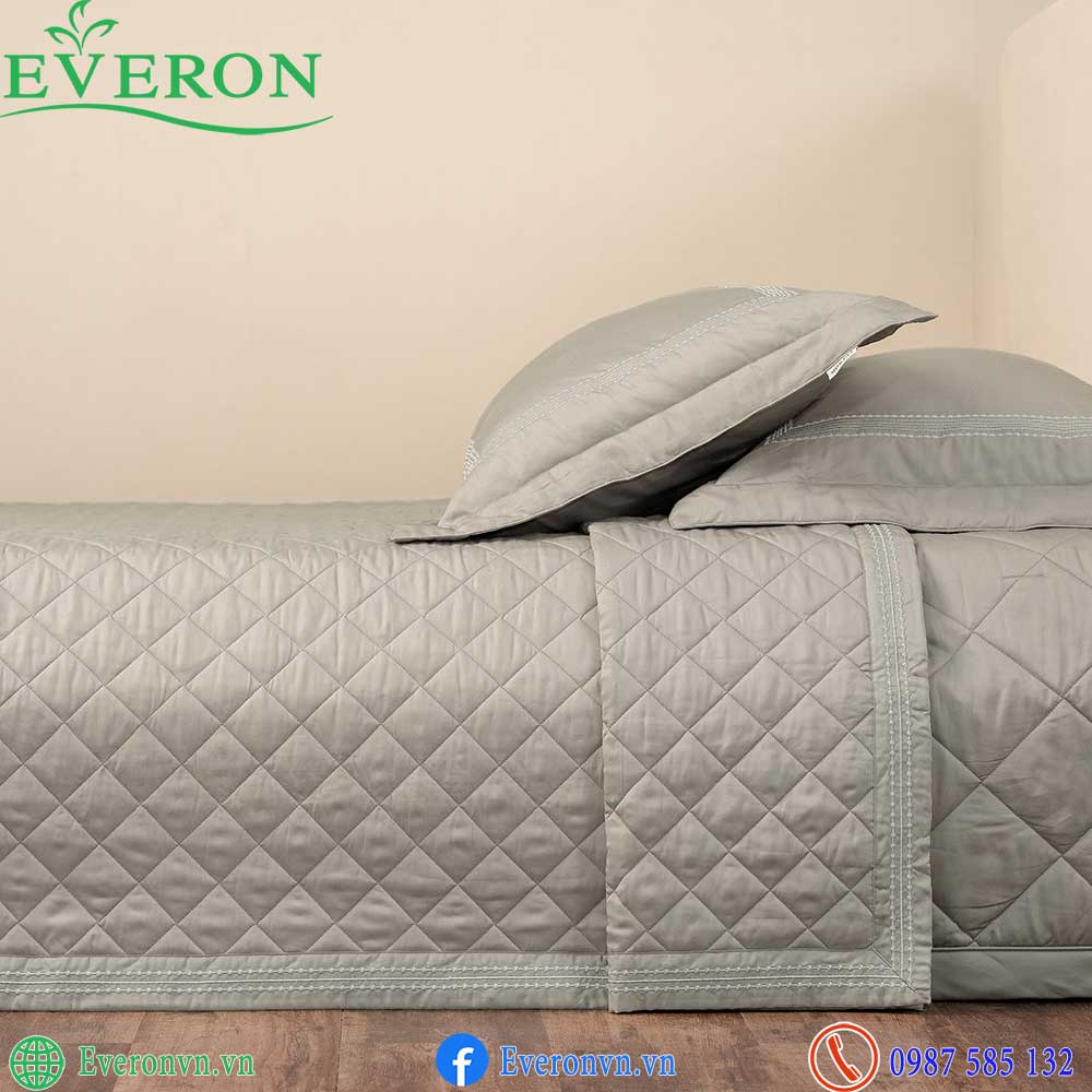 Everon ESTMC 27002 Esprit-2
