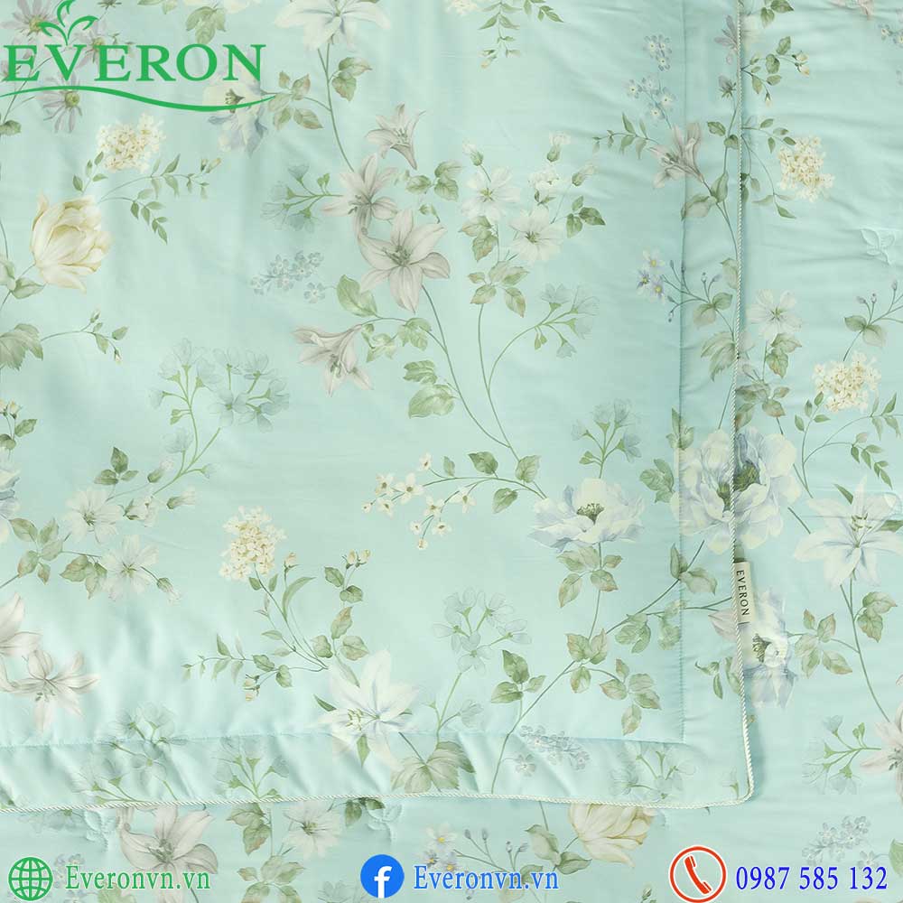 Everon EPMOC 27024 Dawn-3
