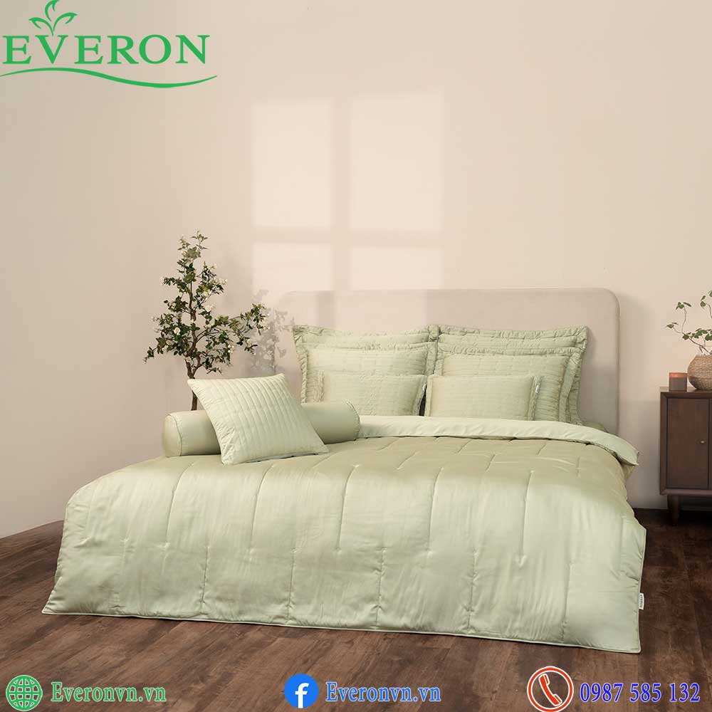 Everon ESB 27014 Meteor-3