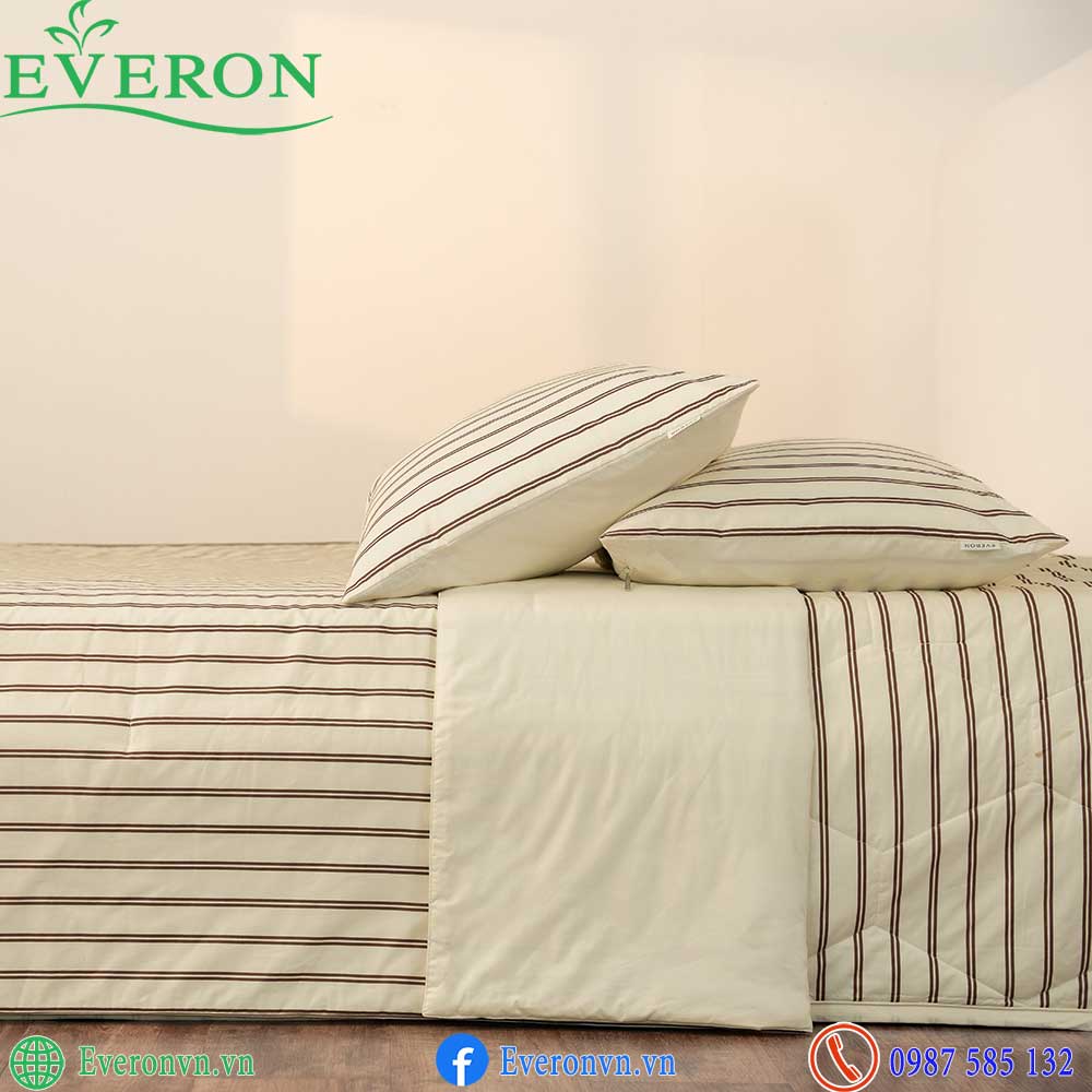 Everon EPC 27031 Linear-4