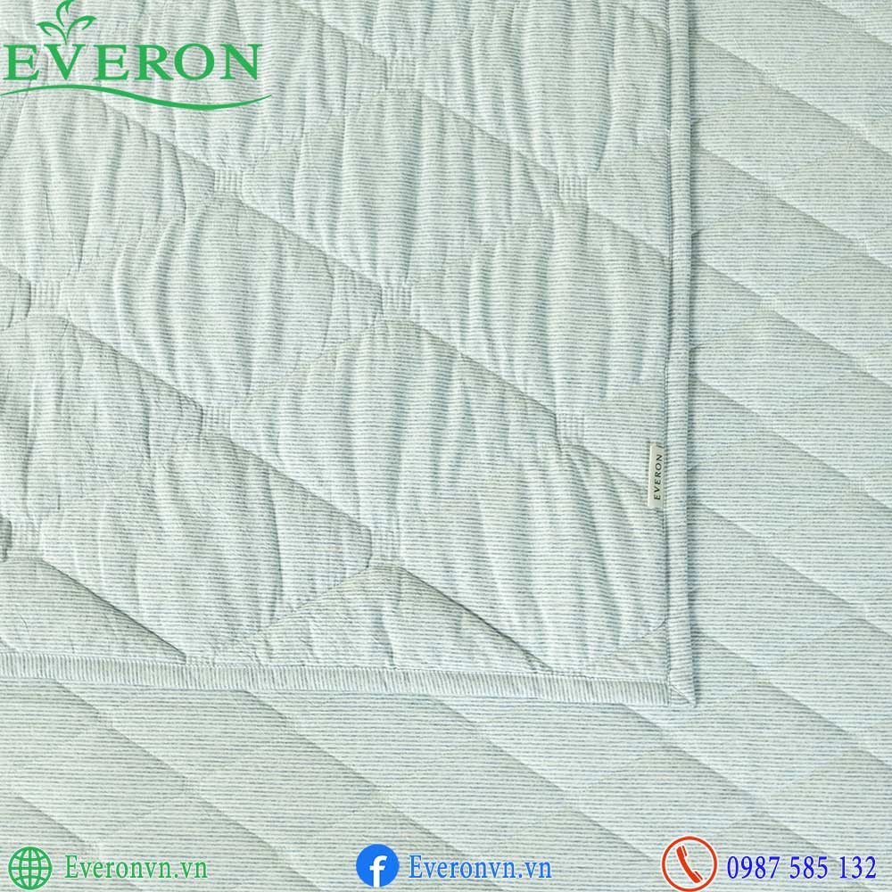 Everon EPC 27036 Coastal-4