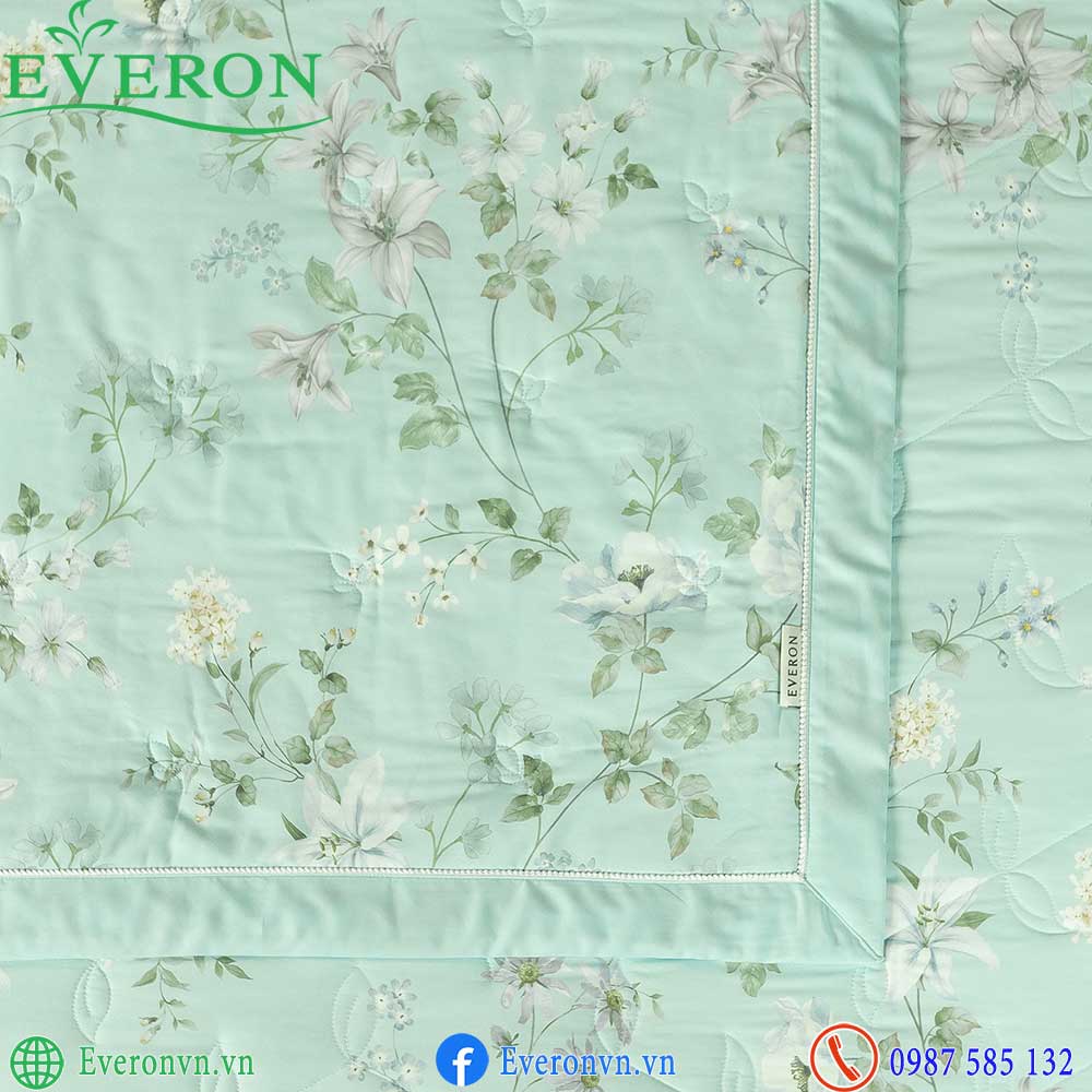 Everon EPMOC 27024 Dawn-4