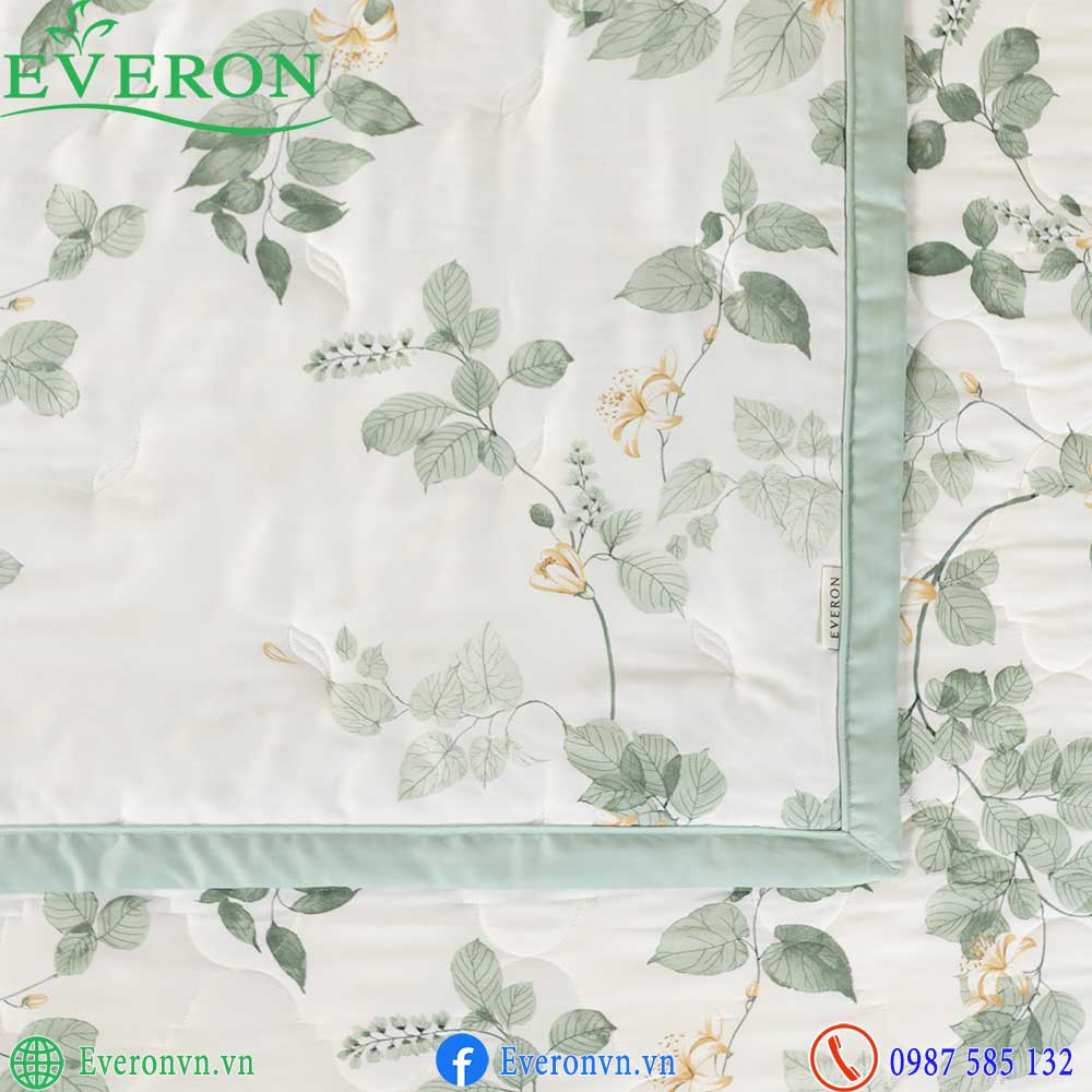 Everon EPTMC 27022 Citrus-4