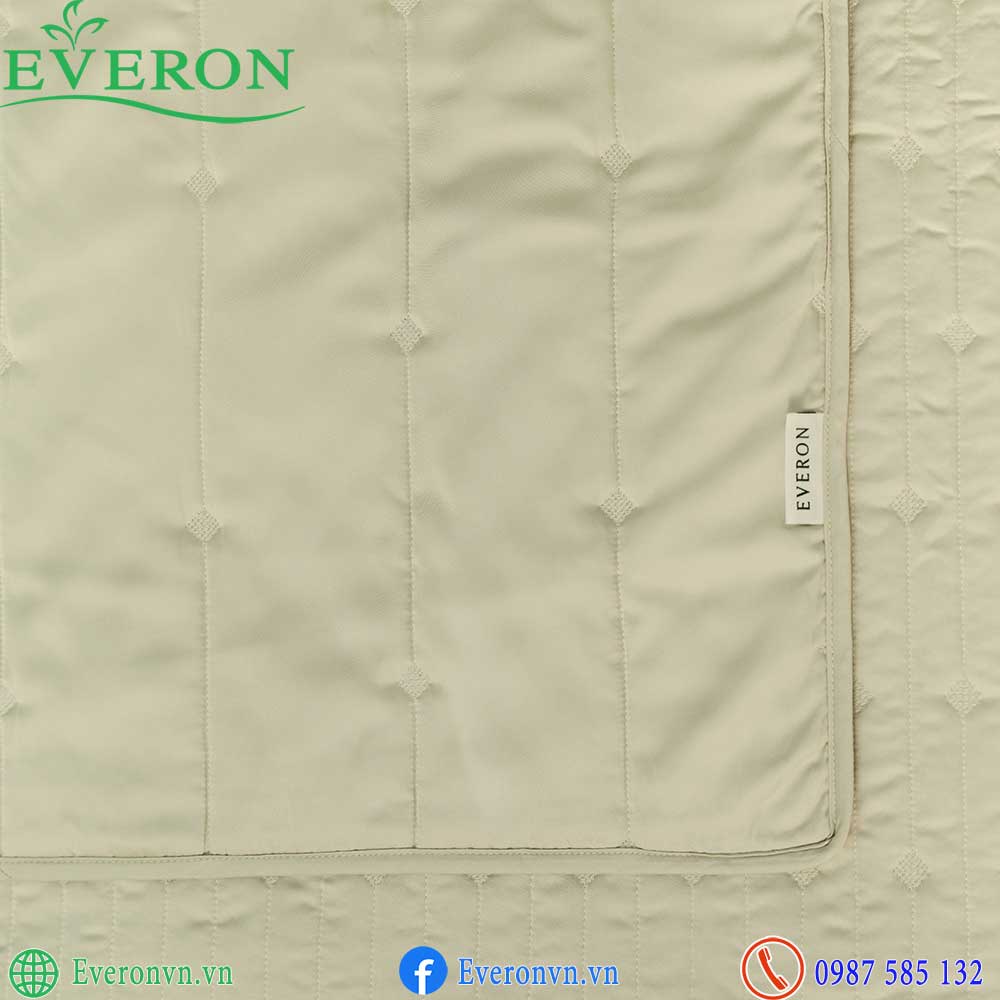 Everon ESB 27014 Meteor-4