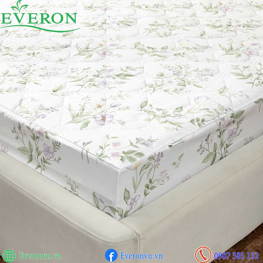 Everon EPTMC 27028 Cottage-5