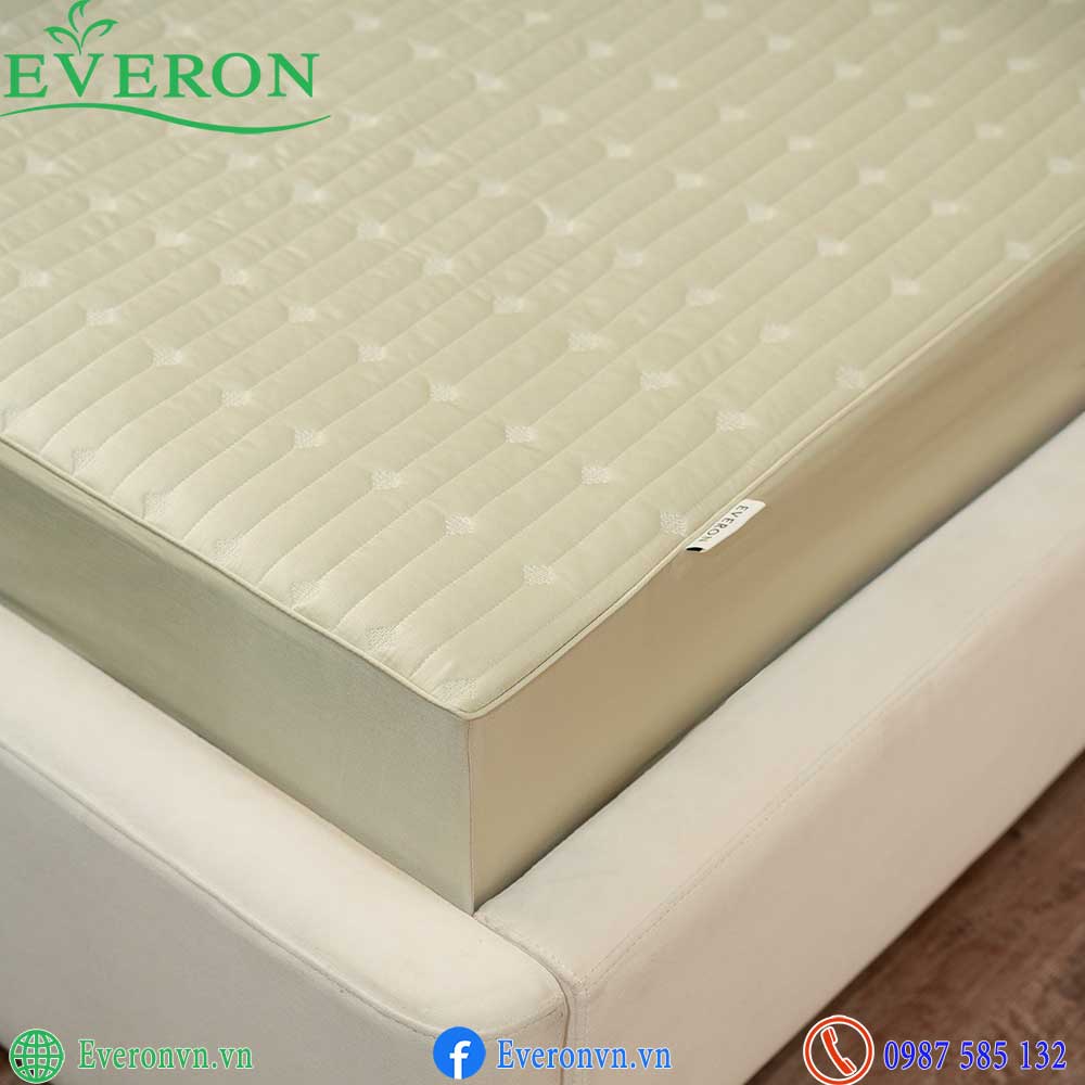 Everon ESB 27014 Meteor-5