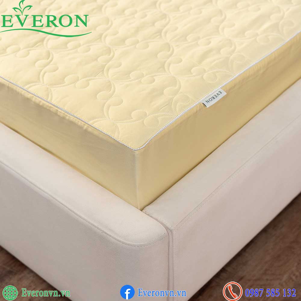 Everon ESTC 27005 Mimosa-5