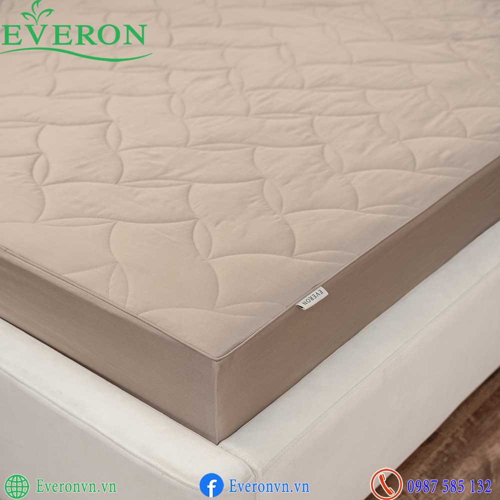Everon ESTC 27006 Pine-5