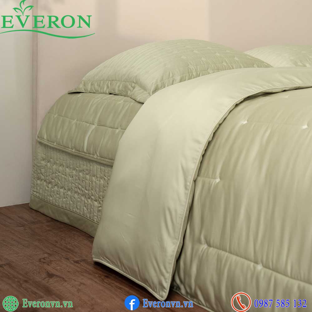 Everon ESB 27014 Meteor-6