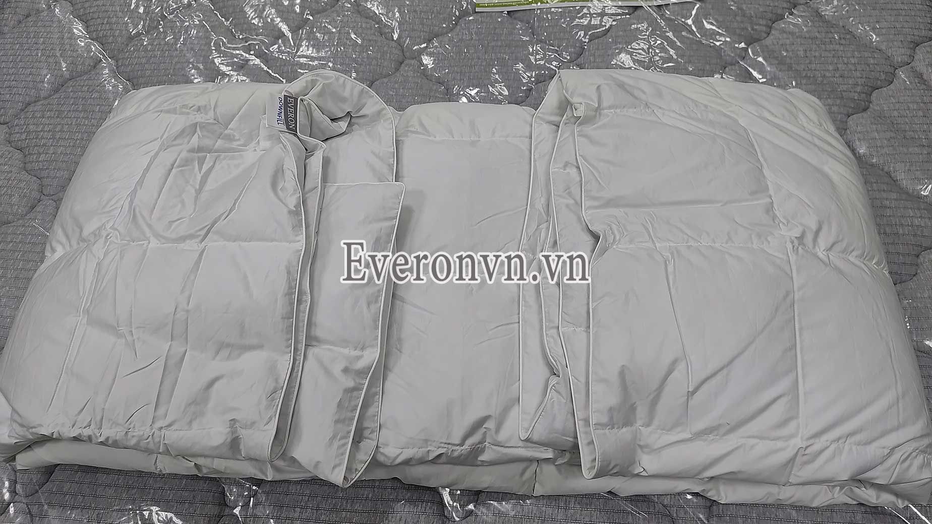 Ruột chăn lông vũ Everon Down Insert-2
