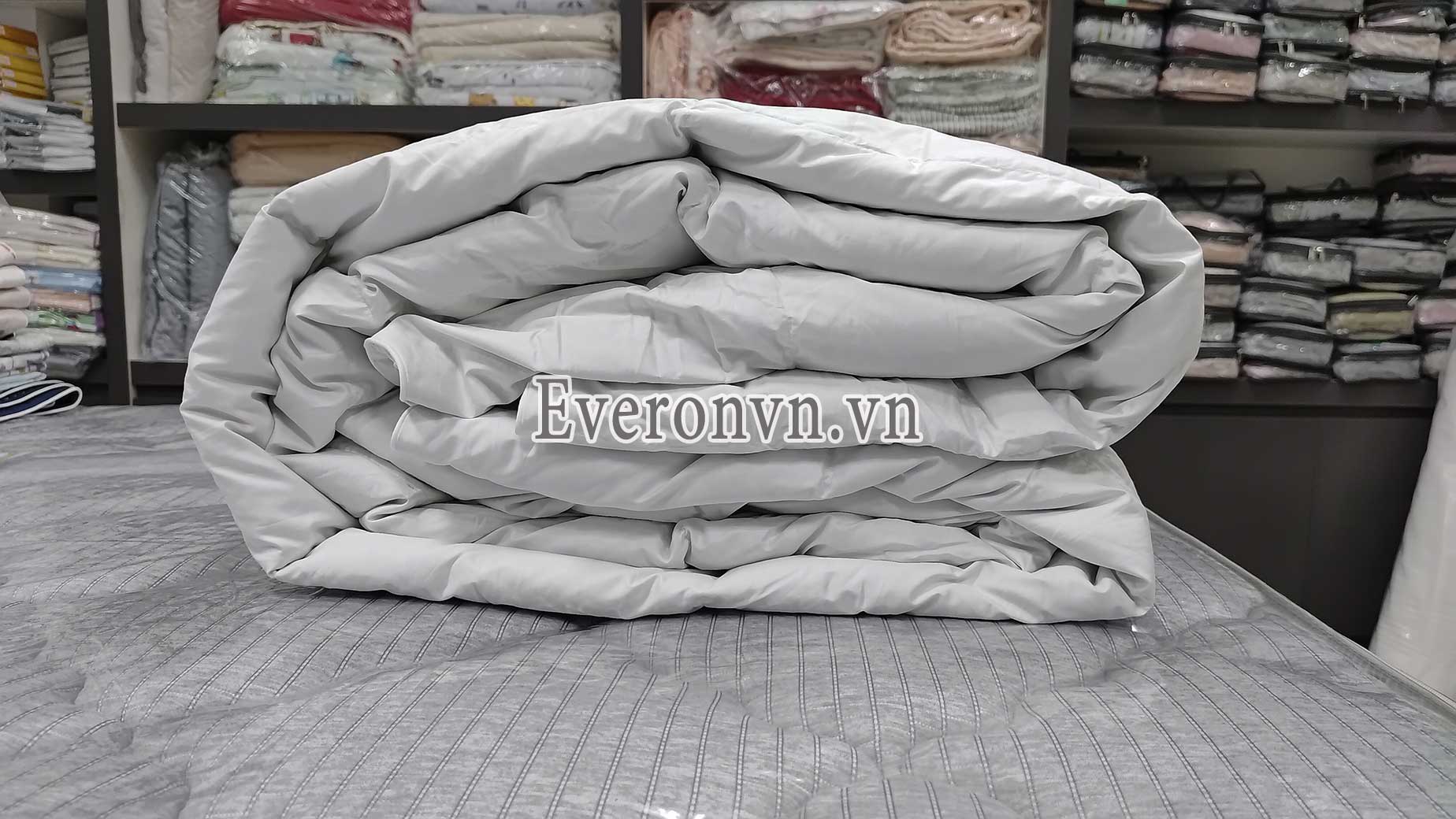 Ruột chăn lông vũ Everon Down Insert-1