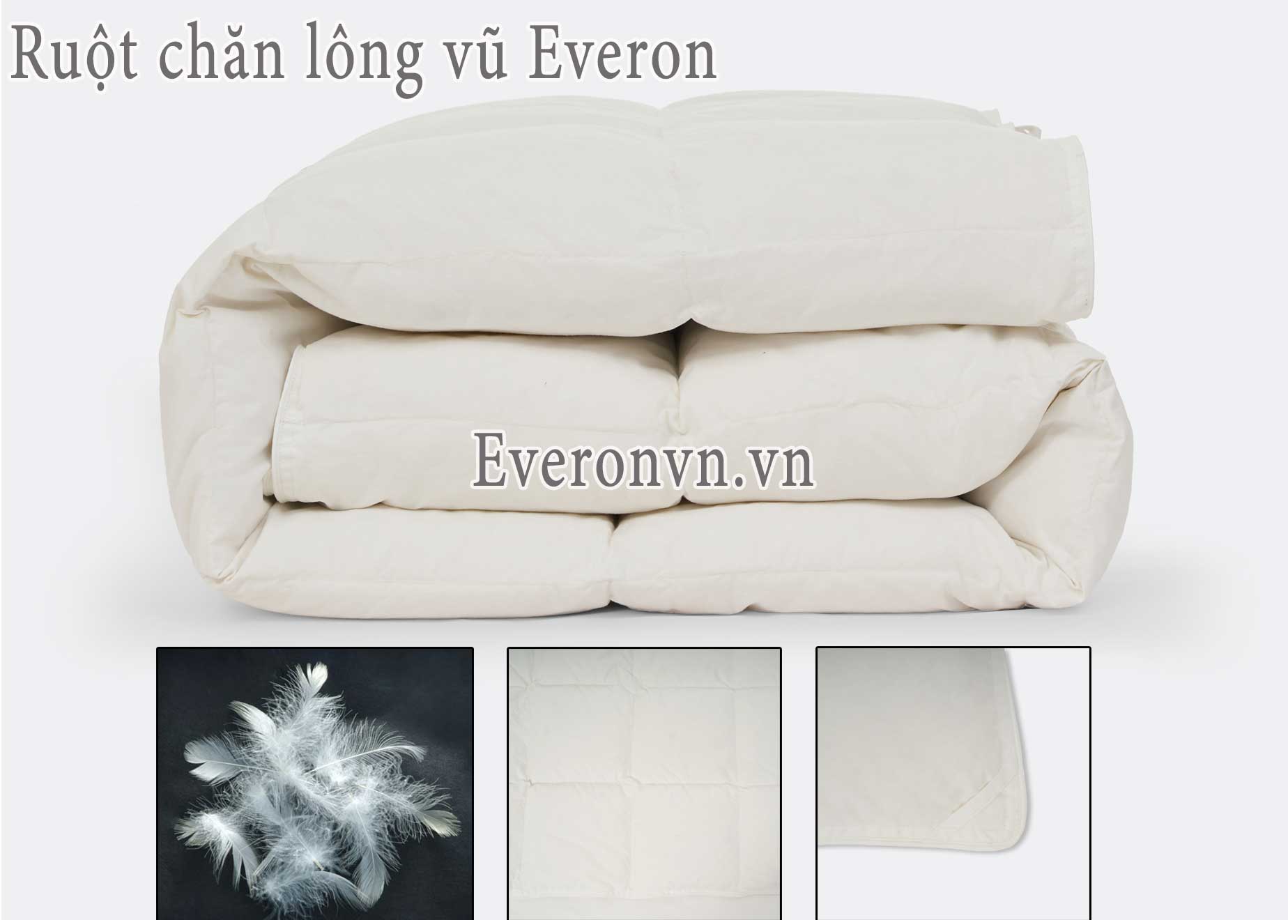 Ruột chăn lông vũ Everon Down Insert