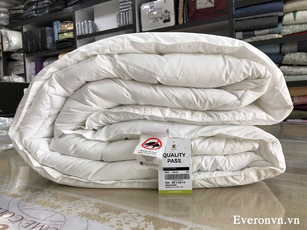 Ruột chăn Everon Micro siêu nhẹ-1