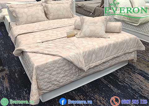 Everon EPC 27027 Beech